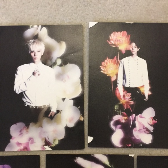 Beast Kpop band - Picture 3 of 4